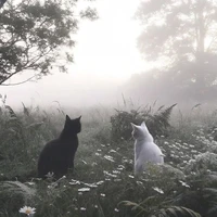 _𝑡𝑎́𝑐 𝑔𝑖𝑎̉_