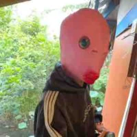 t/g là ngôn lù