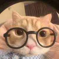 hệ thồng meow 