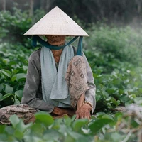 Bà Tám (Thời sự của xóm)