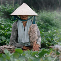 Bà Tám (Thời sự của xóm)