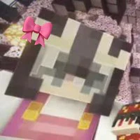 OzinMC