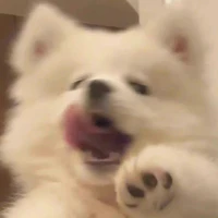 tất 