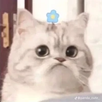tác giả