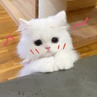 nunu
