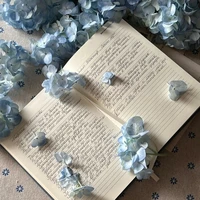 tác giả bị đin