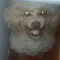 Tất cả hoặc nhóm của crow