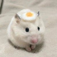 Lumi