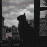 t/g nè 😨😱🤭