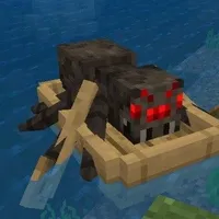 spiders