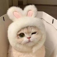 Ngân Em