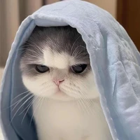 gọi t/g là bống