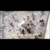 😀