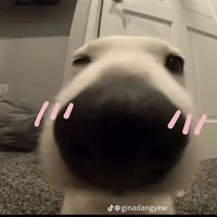 Bà t/g độc ác
