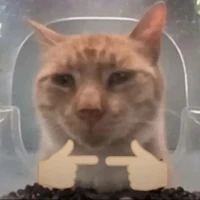 t/g cú te lè khe