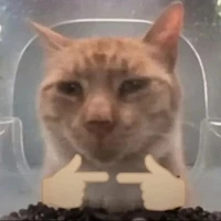 t/g cú te lè khe