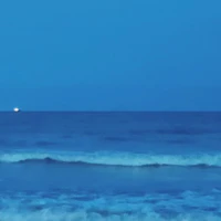 Cả lớp