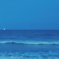 Cả lớp