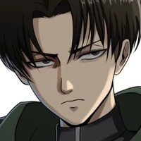 Levi