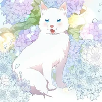 Taro