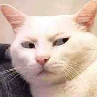 ⋆ 𐙚 ̊. Hệ thống Zannie⋆ 𐙚 ̊.