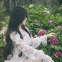 trương nhật hạ