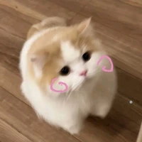 Hệ thống1224 -  Xinxin