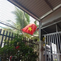 chỉ huy trưởng