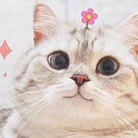 Pé Tác Giả Đây ^3^