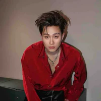 Dương Domic