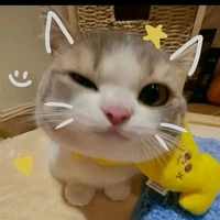 nhỏ t/g ><