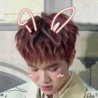 T/g là Cừu Có Cánh🐑