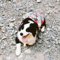 tác giả ối dồi ôi😅😅😅