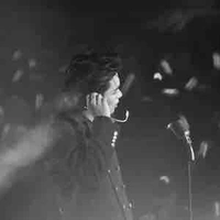 Trần Đăng Dương