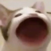 Nv qua đường