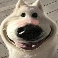 Tác giả bị cute phô mai que