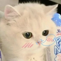 Tống Hàn Minh Anh _ t/g+em bà an an