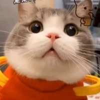 cân mọi nhv nữ
