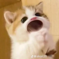 t/g khùng điên