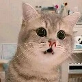 ❦LINH❦CUTE_Chúii°√Sen√✔