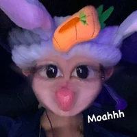 chippi🐣