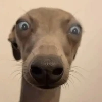 cả lớp 