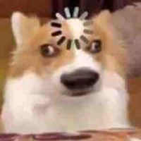 T/g sai đẹp triêu 😏