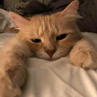 "Đại Ka" Nhà Hương