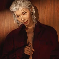 Đồng Ánh Quỳnh(em)