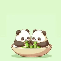 t/giả