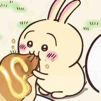 Usagi