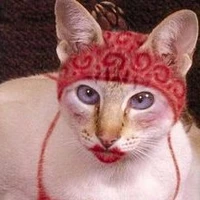 Bá chủ thiên thần -))