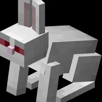 Killer Bunny