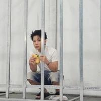 Phạm Đình Thái Ngân